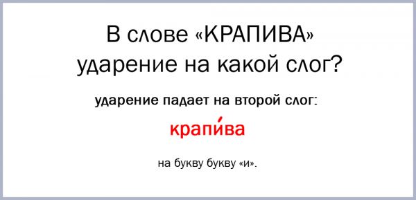 крапива ударение в слове на какой слог падает. картинка крапива ударение в слове на какой слог падает. крапива ударение в слове на какой слог падает фото. крапива ударение в слове на какой слог падает видео. крапива ударение в слове на какой слог падает смотреть картинку онлайн. смотреть картинку крапива ударение в слове на какой слог падает.