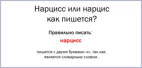 Как правильно пишется нарциссы или нарцисы