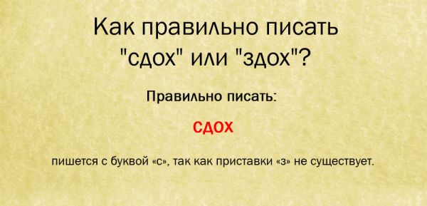 Здохним как пишется слово