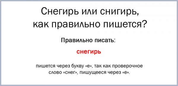 Как пишется слово снегири или снигери