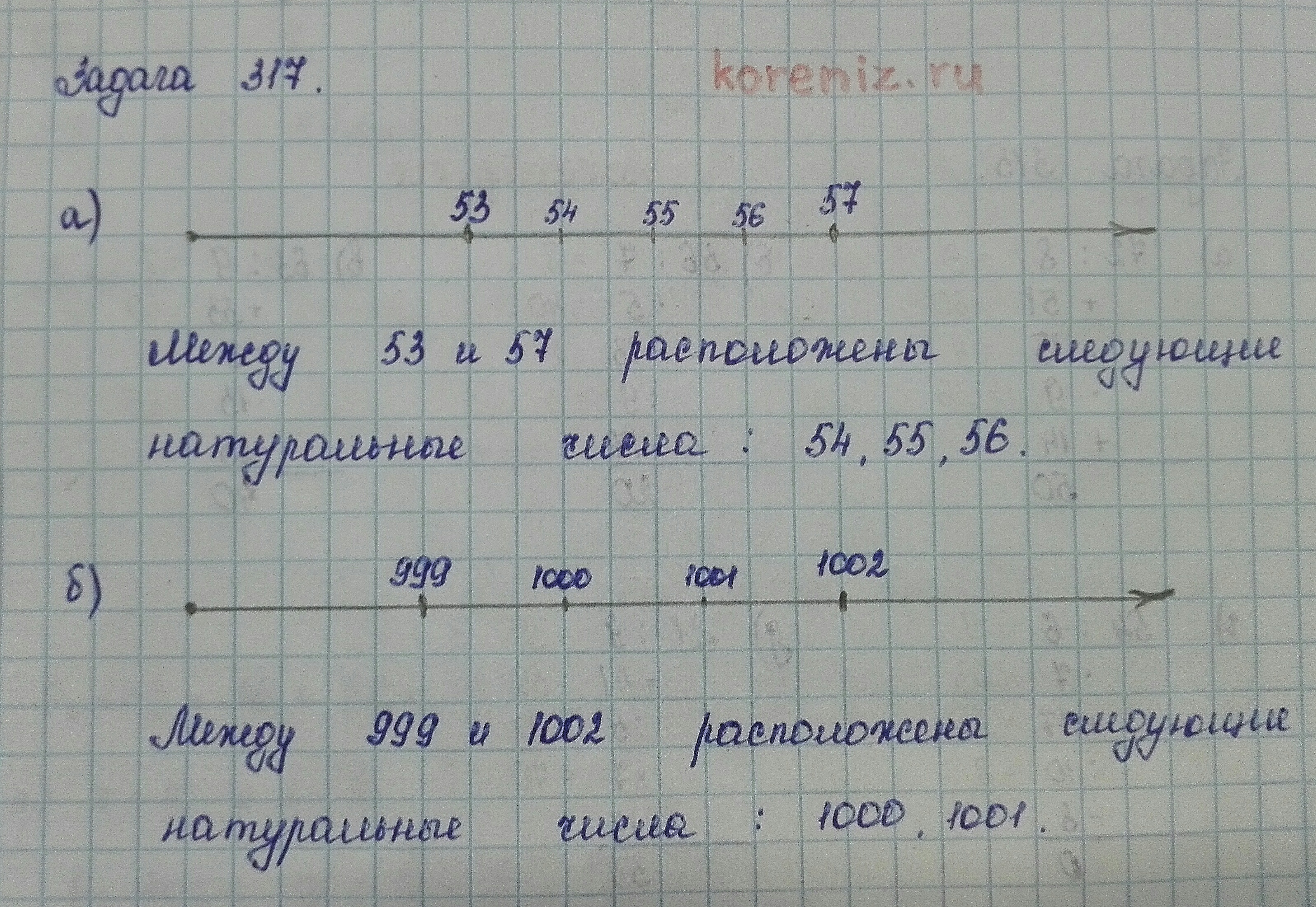 Математика. 5 класс. Виленкин. Задача 317.